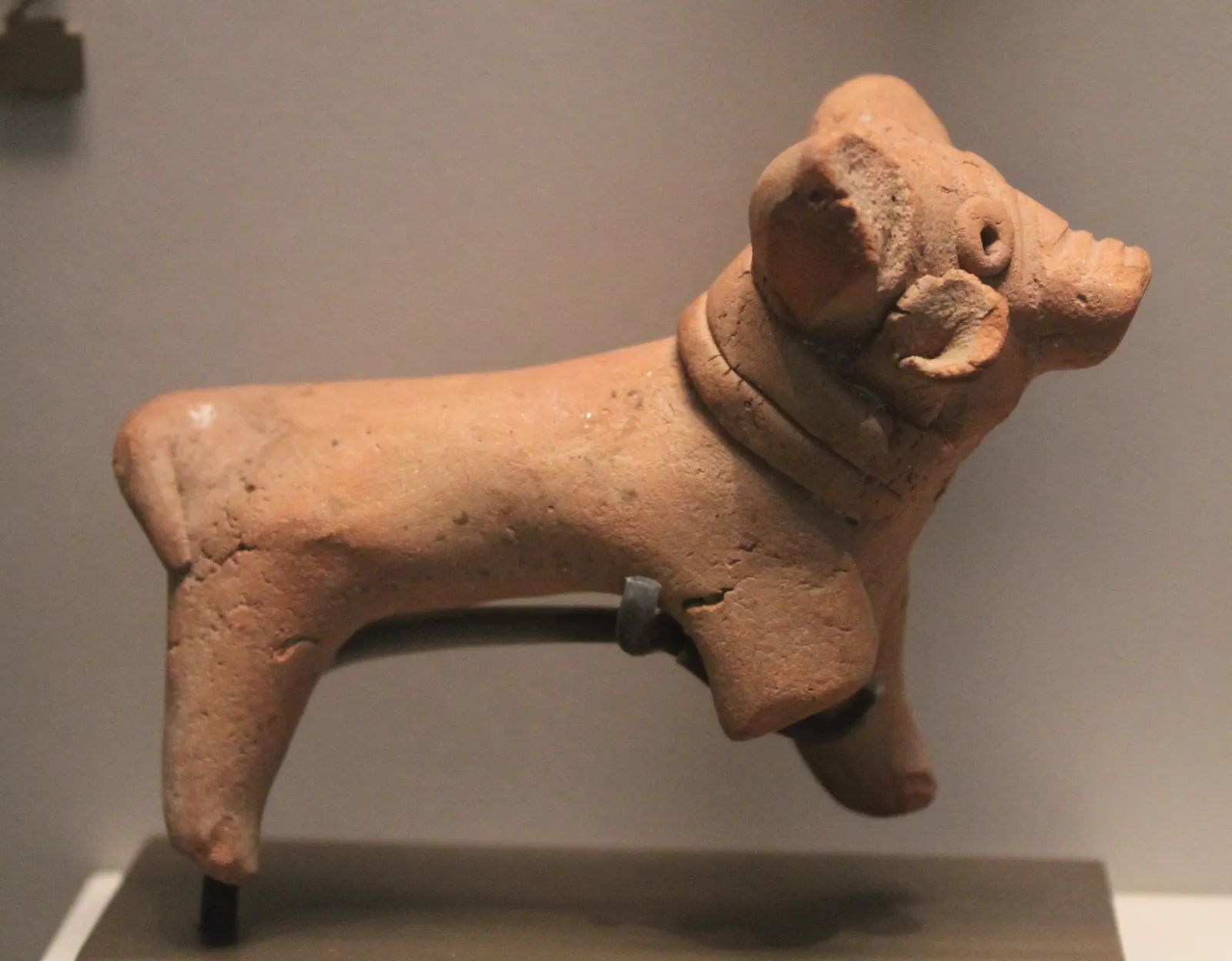 A small terracotta dog figurine from Harappa, showing a collared dog with pricked ears.